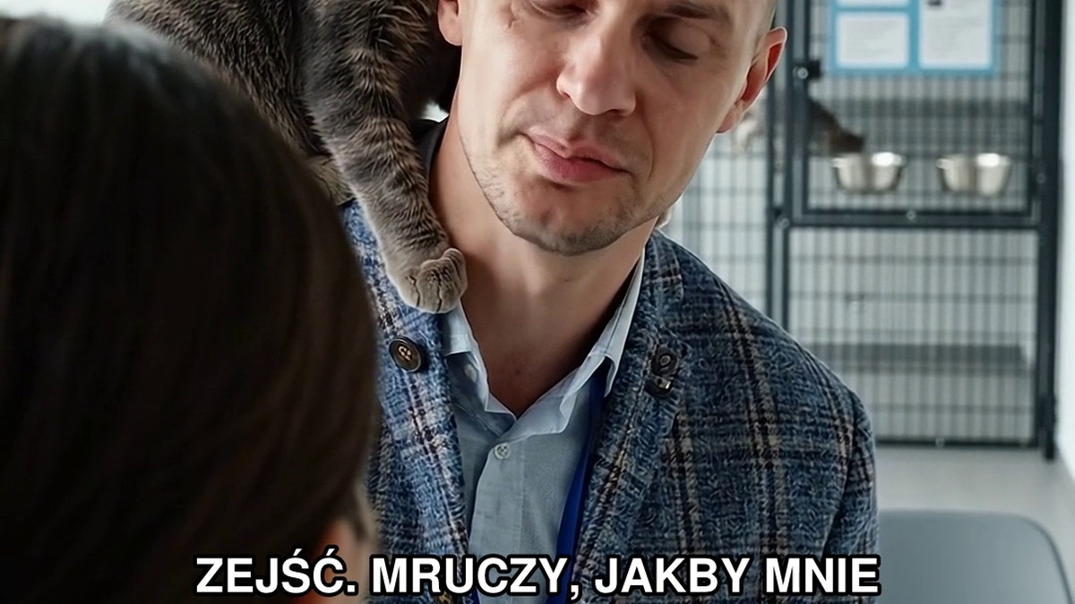 Kot z ulicy Zbożowej